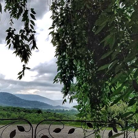 Blue Ridge Manor Bed And Breakfast Fancy Gap Екстериор снимка