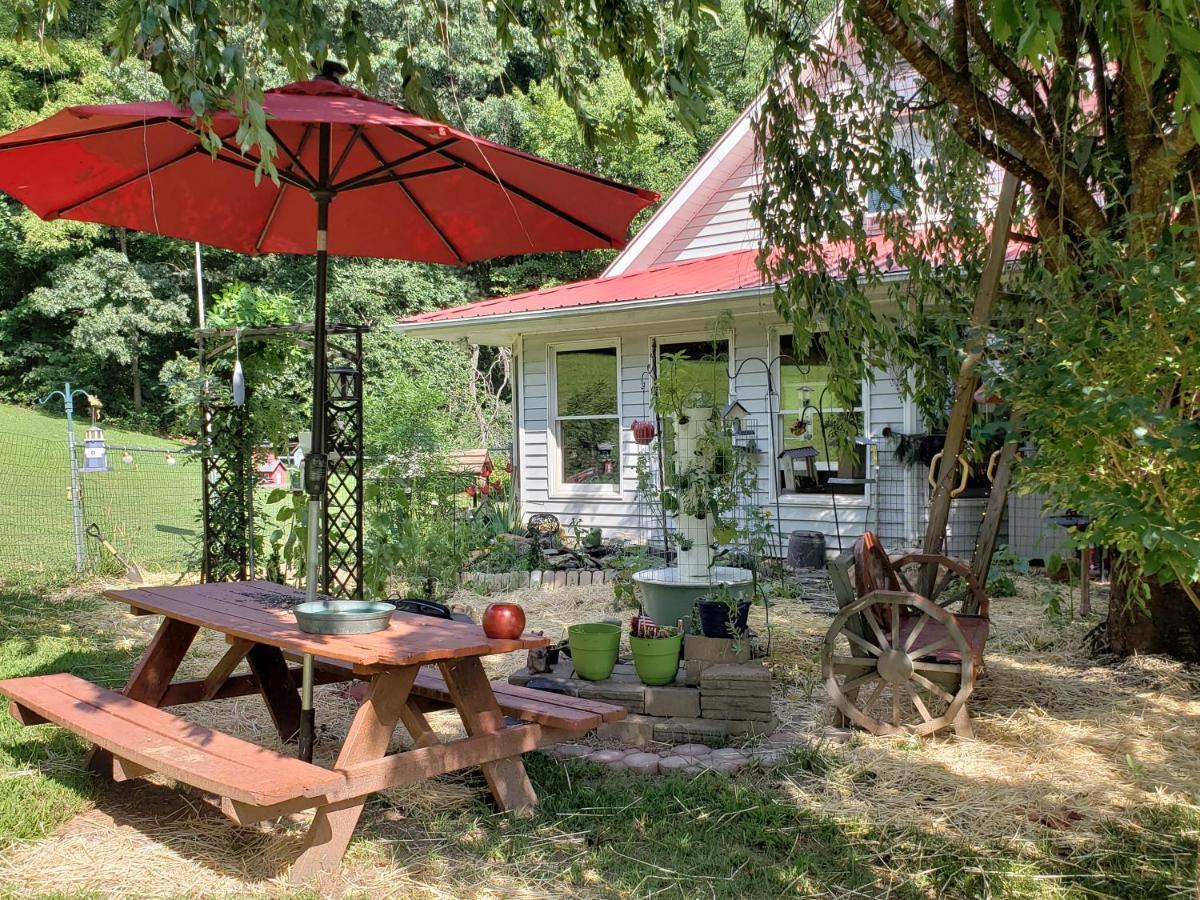 Blue Ridge Manor Bed And Breakfast Fancy Gap Екстериор снимка
