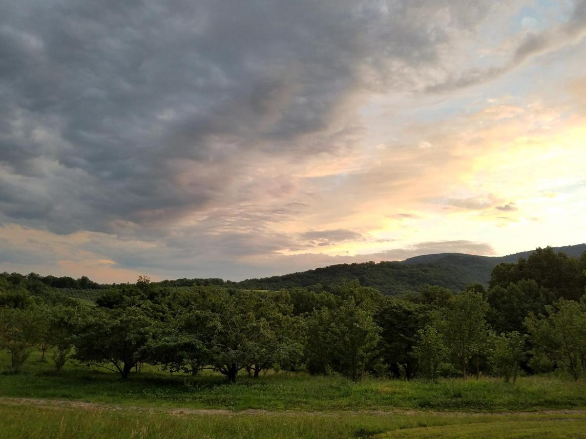 Blue Ridge Manor Bed And Breakfast Fancy Gap Екстериор снимка